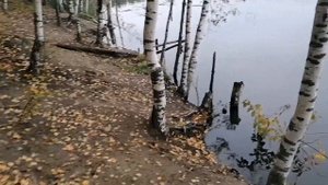 Проверка карьеров Нажицы/Есть ли рыба? /Рыбалка.