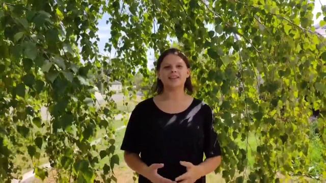 Акция "Слова любви родному краю"". смотреть онлайн