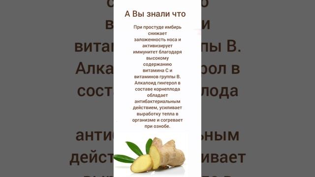 имбирь ПОЛЬЗА #полезныепродукты