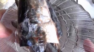 УХА из скумбрии. Рыба очень нежная бульон вкусный. Суп варится быстро за 20-25 мин. Скумбрия Омега