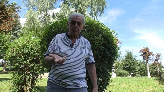 Пчелиный яд лечит аллергию.  Пример из моей практики работы с пчелами.