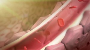 ВНУТРЕННИЕ ОРГАНЫ ЧЕЛОВЕКА / ИНТЕРЕСНЫЕ ФАКТЫ