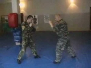 Нестандартные приёмы рукопашного боя. Борьба. Нестандартные удары ногами