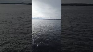 притча о пожилых родителях#только для людей#уважайте каждого#никогда не знаете что вас ждёт