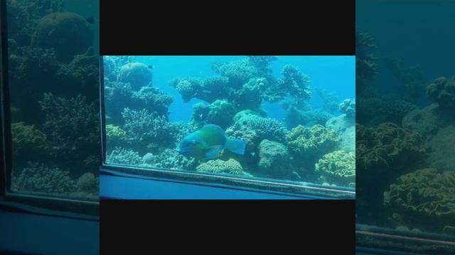 Trip to Red Canyon and Eilat Israel смотреть онлайн