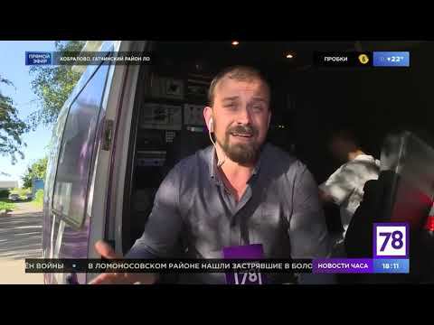 Программа «Телекурьер». Эфир от 19.08.20