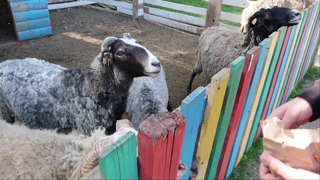 Краснодар! Парк "Солнечный Остров" 29.04.2017