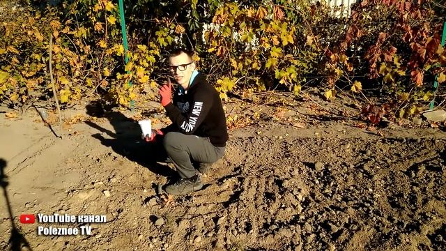 КАК РАСКИСЛИТЬ ПОЧВУ И УДОБРИТЬ ОДНОВРЕМЕННО