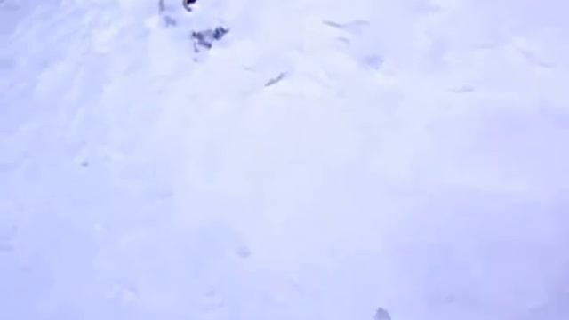 Лечебная Пирамида  Живая Вода   Процессы Происходящие В Пирамиде В Зимнее Время