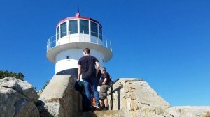 Exploring Cape Point, Cape of Good Hope, and Boulder Beach