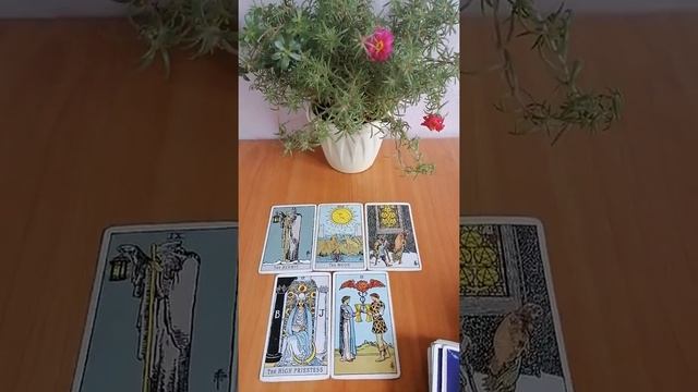 ТАРО. Когда будут любовные отношения? (колода Райдера-Уэйта, пример расклада)