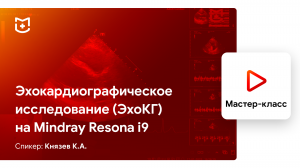 Эхокардиографическое исследование (ЭхоКГ) на Mindray Resona i9