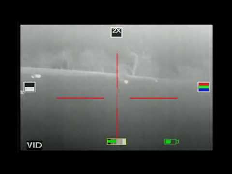 Добыл 3 свиньи! С тепловизора ATN MARS-HD 640 смотреть онлайн