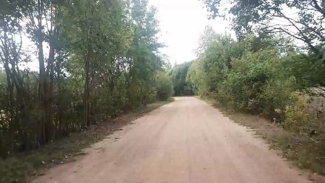 Лесная дорога смотреть онлайн