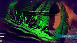 Первый взгляд! l No Man's Sky Обзор игры #1