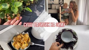 Сушу БАЗИЛИК на зиму / на ДАЧЕ / СЫН не слушается