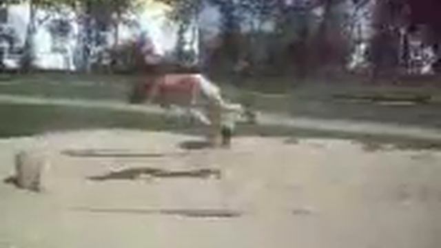 ProActive п.Красногорский.mp4 смотреть онлайн