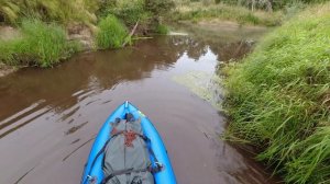 Одиночный сплав по Буже, Сентябрь 2021, часть 2/3 - Бобры, река-лабиринт, домик на острове