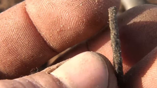 Грандиозные и шокирующие находки на деревне которая была под водой!Коп старины с металлоискателем!