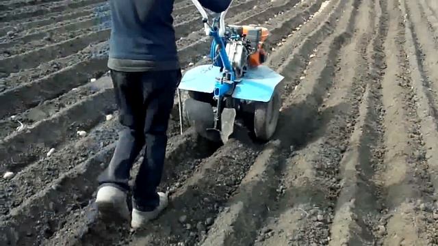 Сажаем картофель мотоблоком НЕВА МБ-2 смотреть онлайн