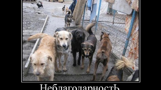 Задумайтесь, люди