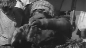 Бычки - Белеет парус одинокий (1937)