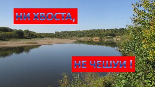 НИ ХВОСТА, НЕ ЧЕШУИ! Рыбалка на спининг. смотреть онлайн