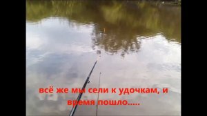 БОБРЫ атакуют!!!