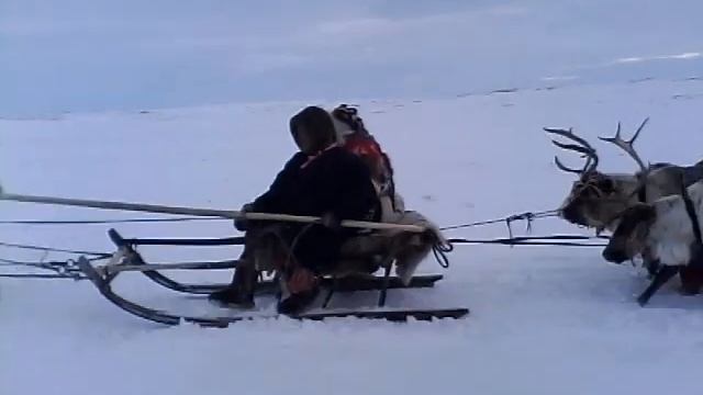 Едем на дискотеку!! смотреть онлайн