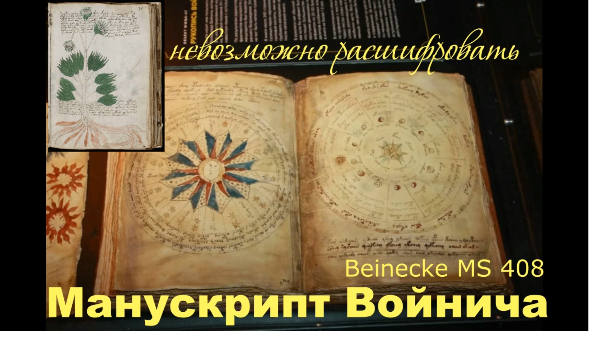 Манускрипт Войнича расследование кто и зачем его писал?