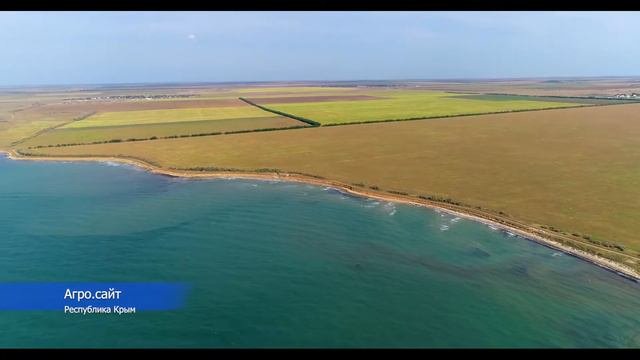 Крым село Владимировка Черноморский район участки сельхоз назначения возле моря с квадрокоптера.