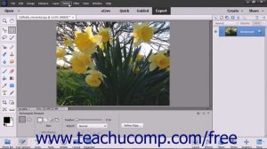 Photoshop Elements 15 Tutorial Making Pixel Selections Adobe Training