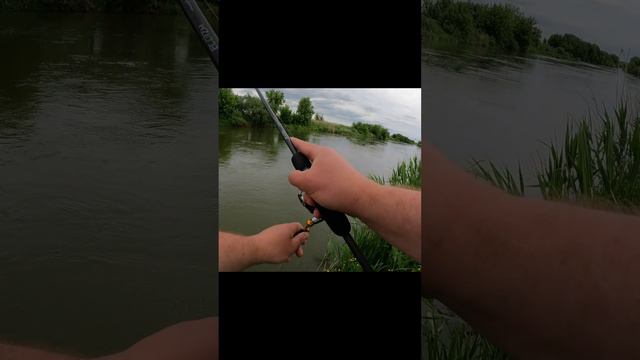 Голавль на воблер #рыбалка #Fishing #голавльнаспиннинг