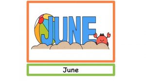 MONTHS OF THE YEAR FLASHCARDS