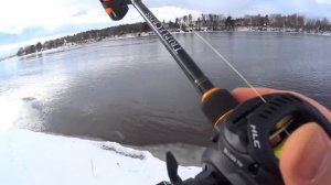 Daiwa Zillion HLC обзор