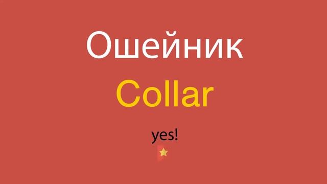Ошейник по-английски смотреть онлайн