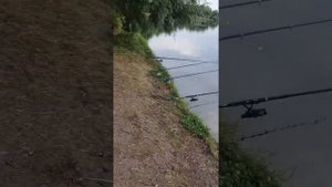 Рыбалка на рыбхозе Кострома