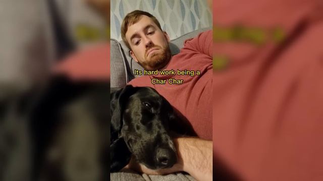 si te ries , te caes смотреть онлайн