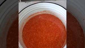 Наши заготовки. ,, Огонек " на зиму.