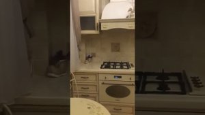 компания EuroHouse еврохаус Ремонт квартир в спб в хрущевке