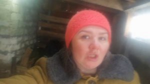 цены на молоко и мясо в 2022 году. мясо дюрка. покупка телят.