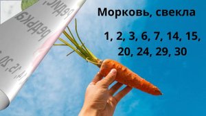 Посевной календарь: благоприятные дни для посадки в Июне 2023.Благоприятные дни для садовых работ