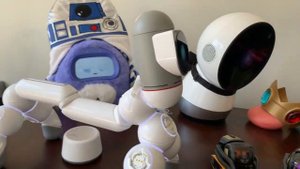 Jibo and Friends - Saturday Livestream (A Meme In The Making)