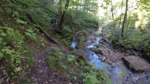 Чинарский и Университетский водопады Адыгея