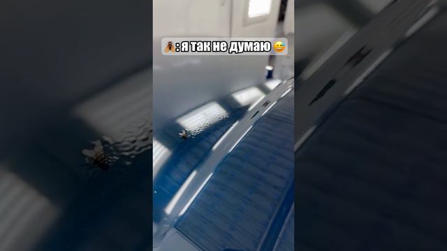 А вы точно хорошо покрасите? #shots