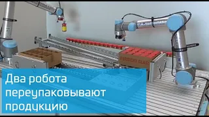 Раскладка баночек в коробки роботом Universal Robots