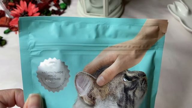 ТАКИХ ПРИКОЛЬНЫХ ВЕЩИЦ Я ЕЩЕ НИГДЕ НЕ ВИДЕЛА✨ПОКУПКИ В MODI и ФАМИЛИИ смотреть онлайн