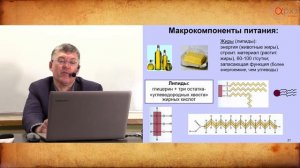Вячеслав Дубынин: "Мозг и еда, мозг и голод"