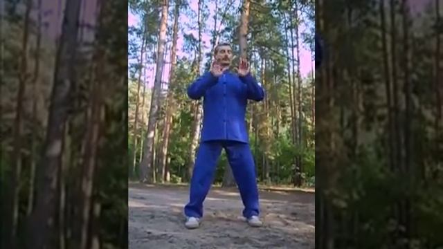 8 движений рук тайцзи. 8 "не настоящих" отрезков парчи.