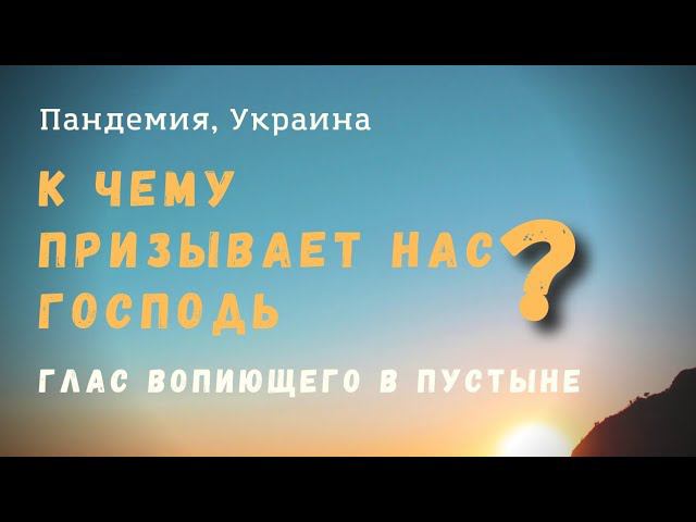 Глас вопиющего в пустыне. К чему призывает нас Господь? #пандемия #война2022  #отецалексейчиж